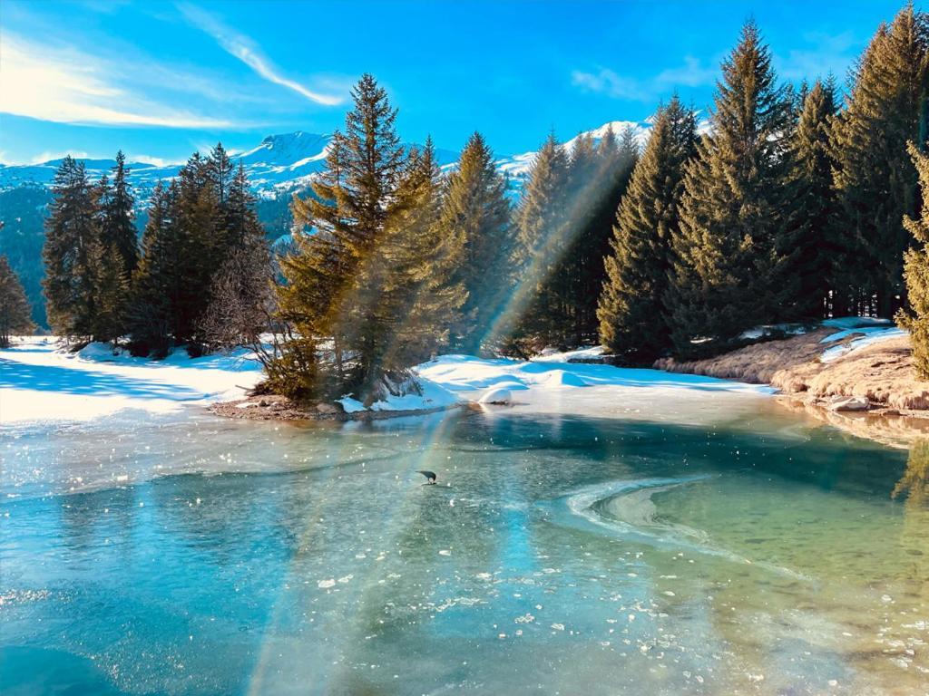 Вилла La Civetta Вальбелла Экстерьер фото